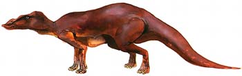 Anatosaurus