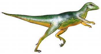 Lesothosaurus