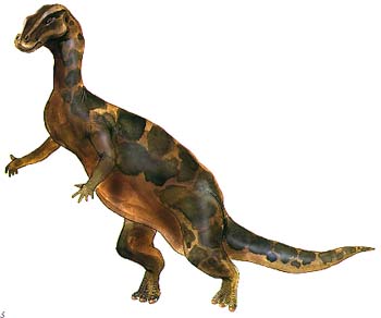 Muttaburrasaurus