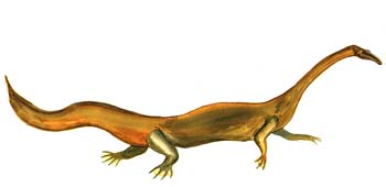 Nothosaurus