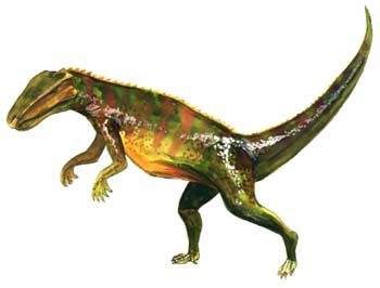 Ornithosuchus