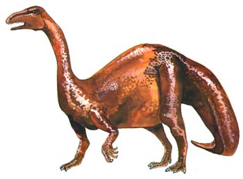 Plateosaurus