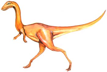 Procompsognathus