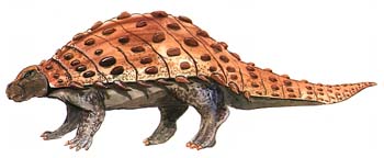 Sauropelta