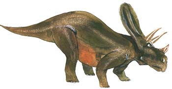 Torosaurus