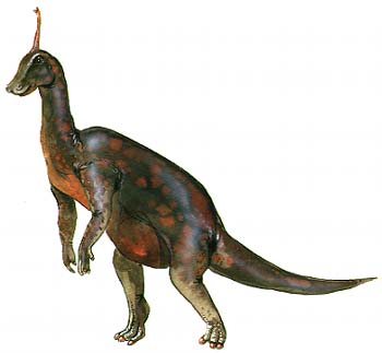 Tsintaosaurus